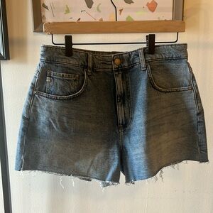 AG Denim Shorts Size 30